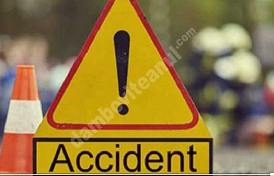 You are currently viewing DÂMBOVIȚA: ACCIDENT RUTIER ÎN LOCALITATEA MOGOȘANI. CONDUCĂTORUL AUTO A MURIT!
