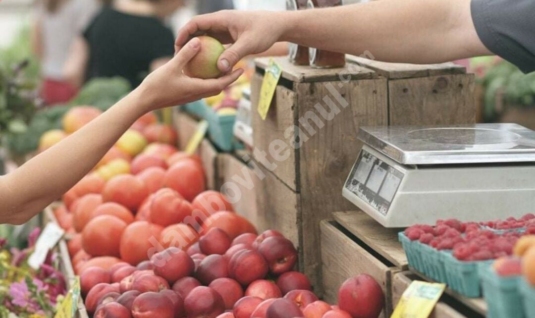You are currently viewing ULTIMA ORĂ! PIAŢA AGROALIMENTARĂ DIN MORENI VA FI RELOCATĂ