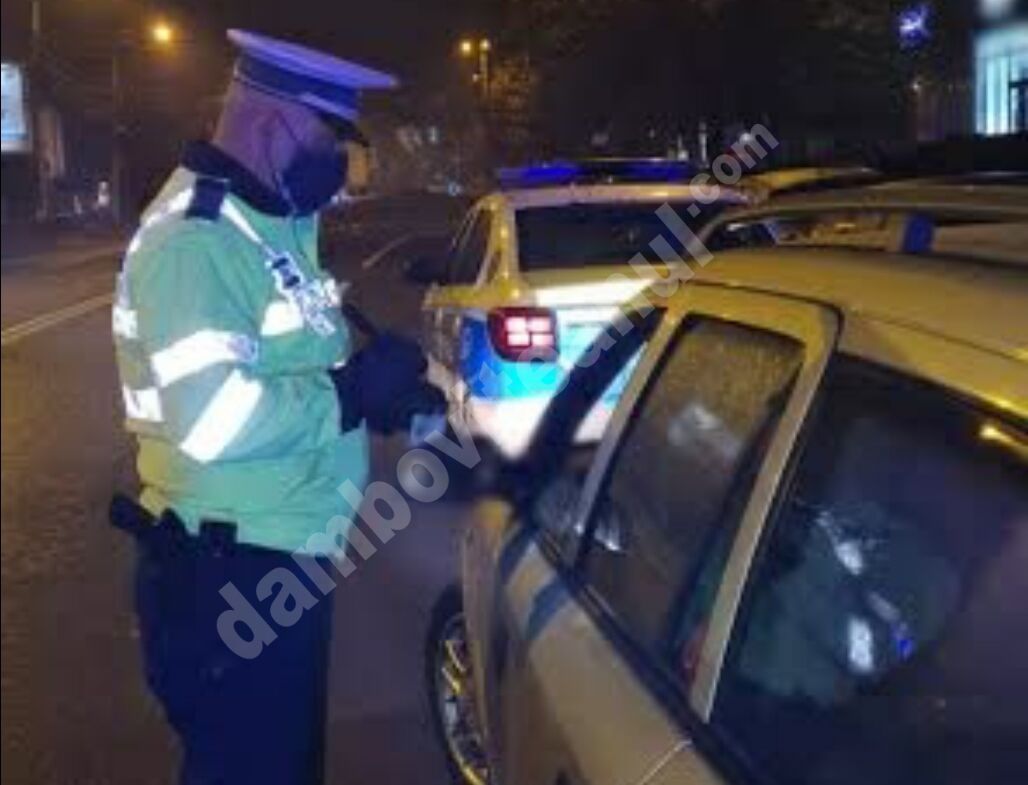 You are currently viewing DÂMBOVIȚA: Un tânăr de 21 de ani, cercetat de polițiști pentru conducerea sub influența băuturilor alcoolice
