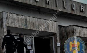 Read more about the article Trei meciuri de volei feminin vor fi vegheate de jandarmii dâmbovițeni