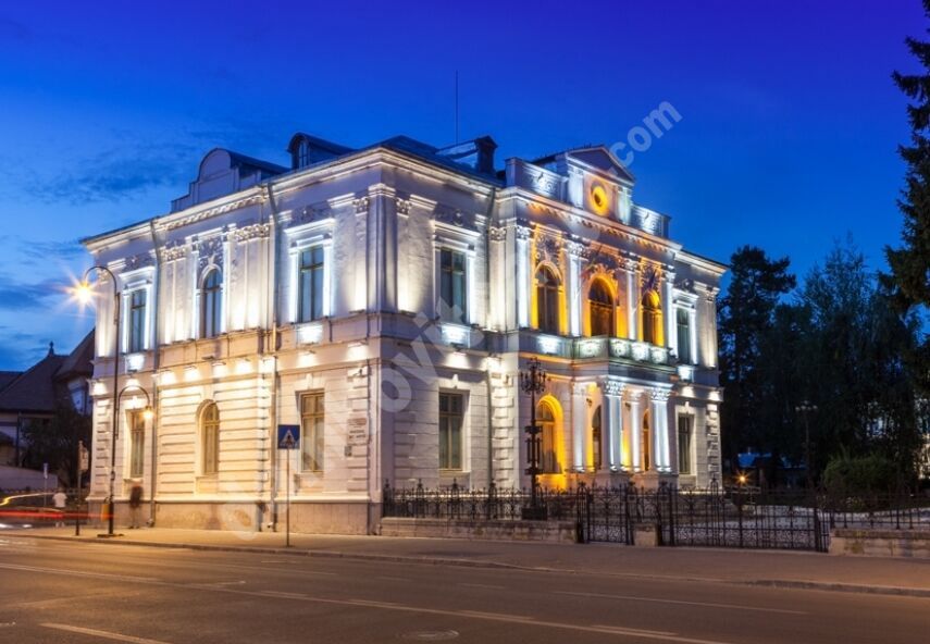 You are currently viewing TÂRGOVIȘTE: INVITAȚIE LA MUZEUL DE ARTĂ – EXPOZIȚIA „EFIGII ISTORICE”