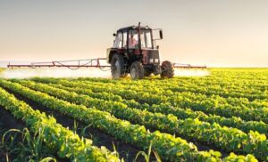 Read more about the article S-a dat legea! Fermierii din cooperative sunt scutiți de plata impozitului pe clădiri și terenuri