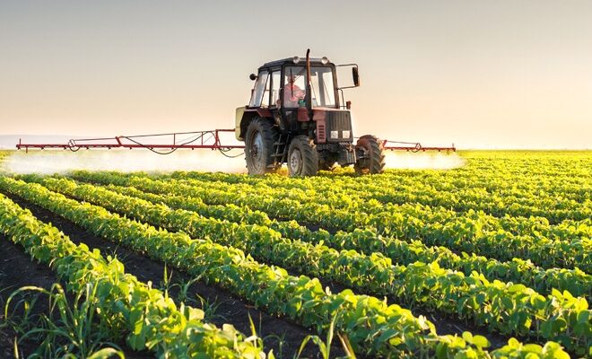 You are currently viewing S-a dat legea! Fermierii din cooperative sunt scutiți de plata impozitului pe clădiri și terenuri