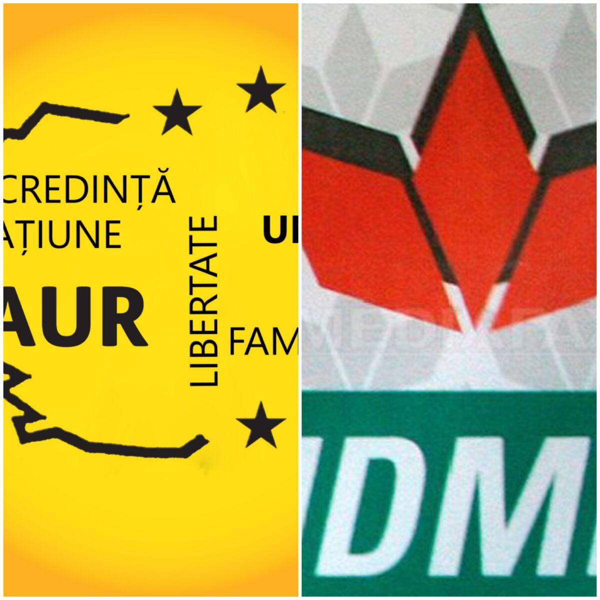 You are currently viewing AUR atacă UDMR: Partidul balama este veșnic la guvernare