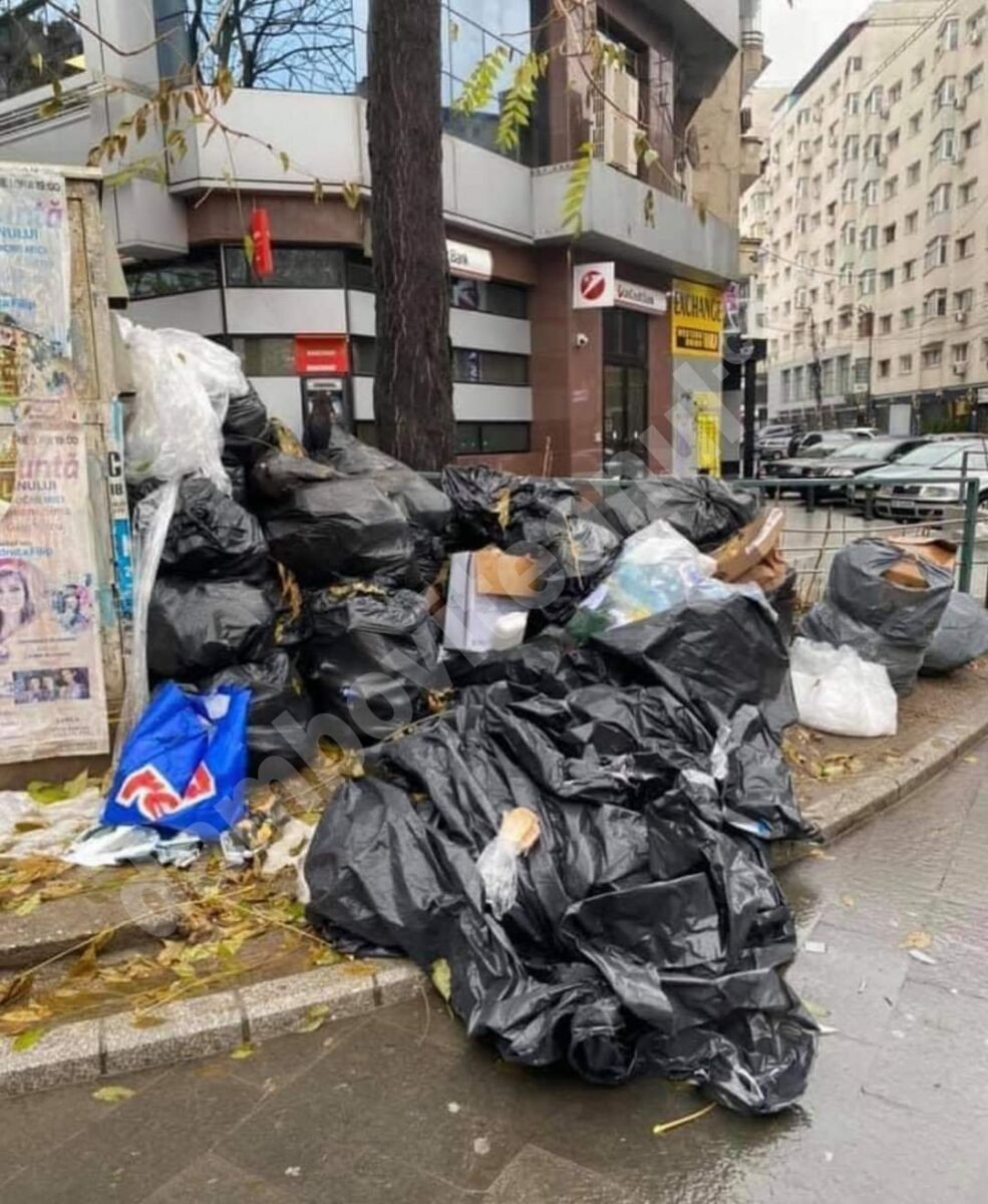 You are currently viewing Gabriela Firea a găsit soluția de urgență pentru criza gunoaielor din Sectorul 1