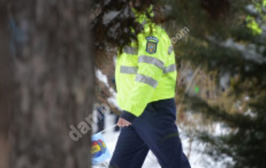 You are currently viewing POLIȚIȘTII DÂMBOVIȚENI ACȚIONEAZĂ PENTRU PREVENIREA ȘI COMBATEREA FAPTELOR ILEGALE DIN DOMENIUL FORESTIER