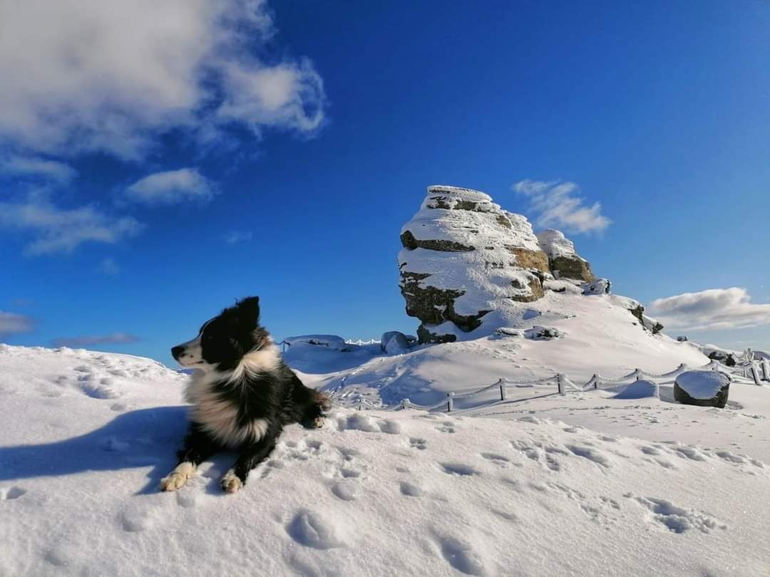 You are currently viewing ATENȚIE: Risc mare de avalanșa în Munții Bucegi, Baiului și Ciucas