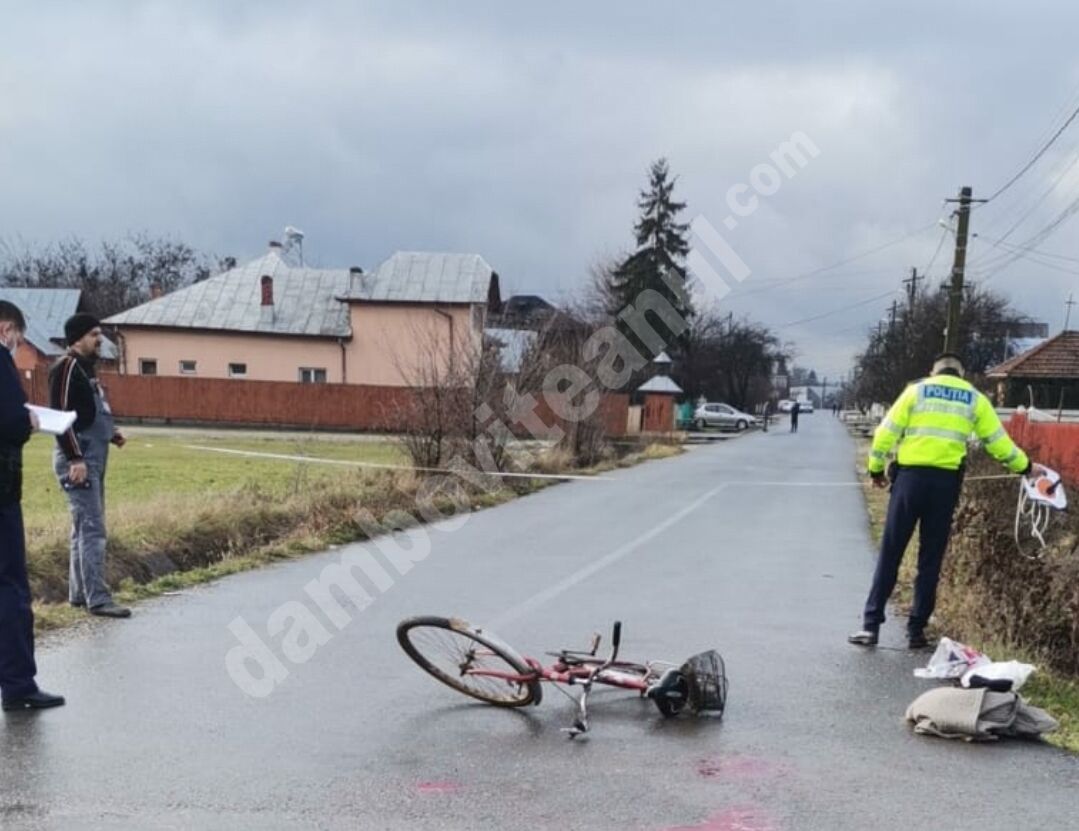 You are currently viewing DÂMBOVIȚA: Bărbat în vârstă de 78 de ani, accident în localitatea Racovița