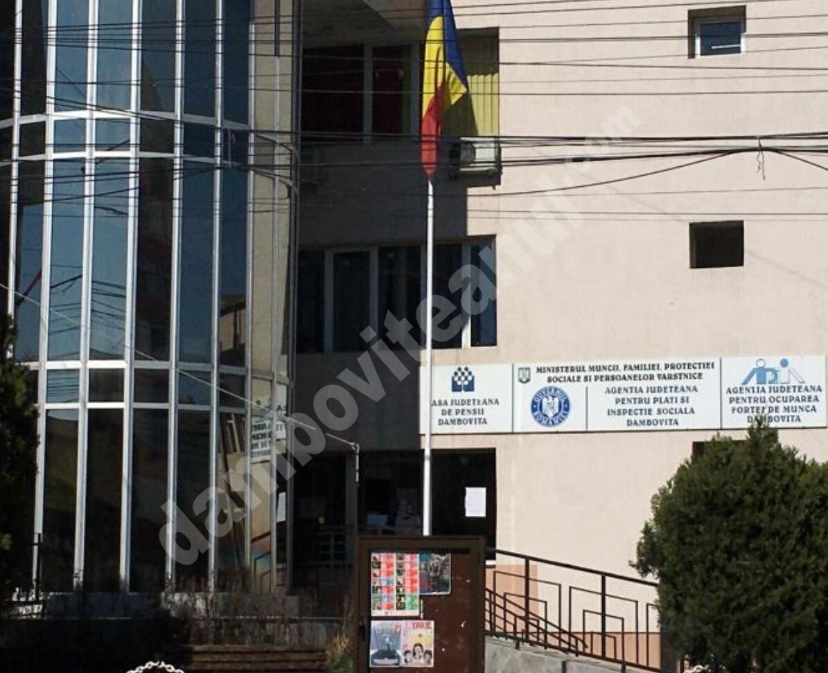 You are currently viewing 3,21 % –  rata şomajului înregistrat în evidenţele AJOFM Dâmbovița în luna decembrie 2020