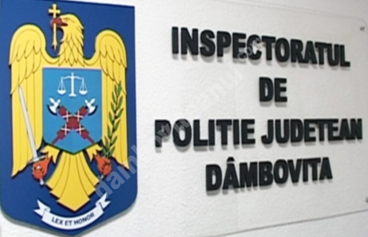 You are currently viewing Evaluarea activității Inspectoratului de Poliție Județean Dâmbovița, în anul 2020