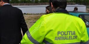 Read more about the article Prevederi legale în domeniul protecției animalelor