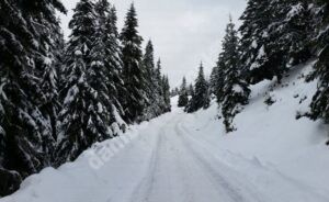 Read more about the article Transbucegiul a fost închis din nou