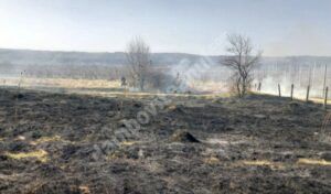 Read more about the article DÂMBOVIȚA: Incendiu de vegetație uscată în comuna Voinești, satul Izvoare!