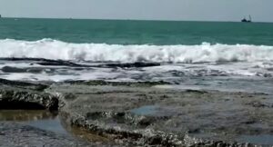 Read more about the article Israel își închide toate plajele din cauza celei mai mari poluări cu petrol, din istoria țării