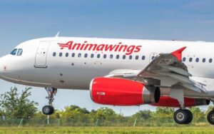Read more about the article Animawings, cea mai nouă companie aeriană din România, își mărește flota