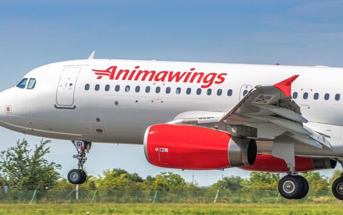 You are currently viewing Animawings, cea mai nouă companie aeriană din România, își mărește flota