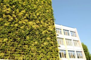 Read more about the article Craiova este singurul oraş din România care are o strategie Green City
