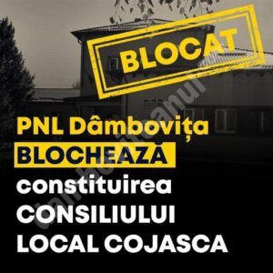 Read more about the article PSD Dâmbovița acuză PNL de blocarea constituirii Consiliului Local Cojasca