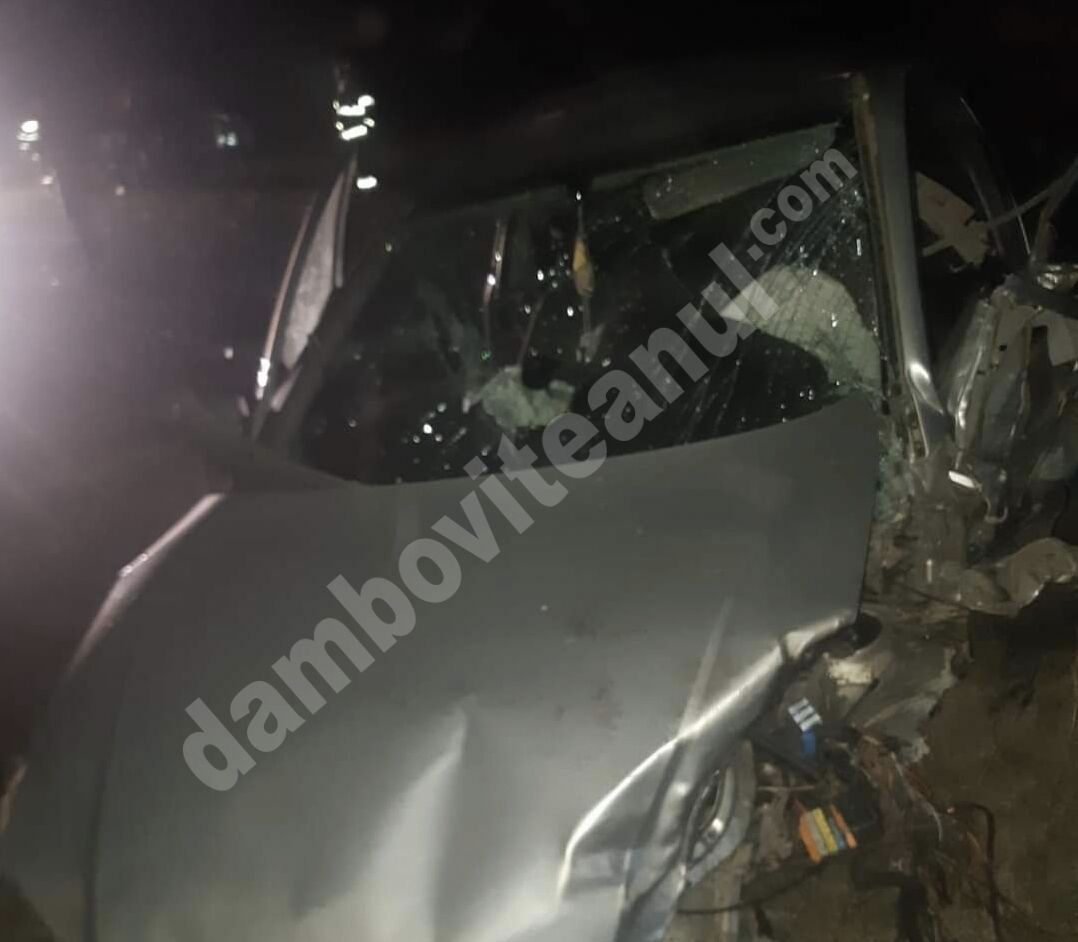 You are currently viewing DÂMBOVIȚA: Accident rutier la Bilciurești, soldat cu doi răniți!