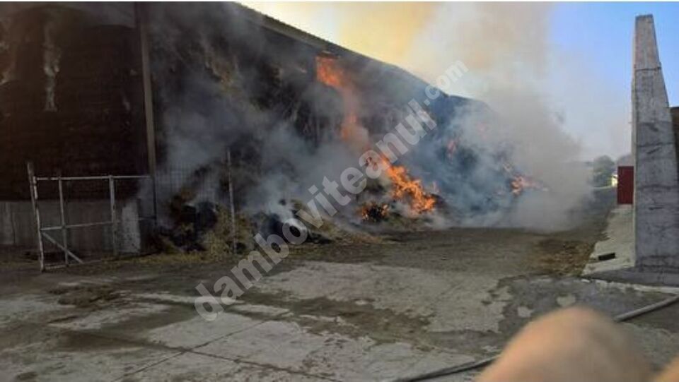 You are currently viewing DÂMBOVIȚA: Incendiu violent la o gospodărie din Mogoșești!