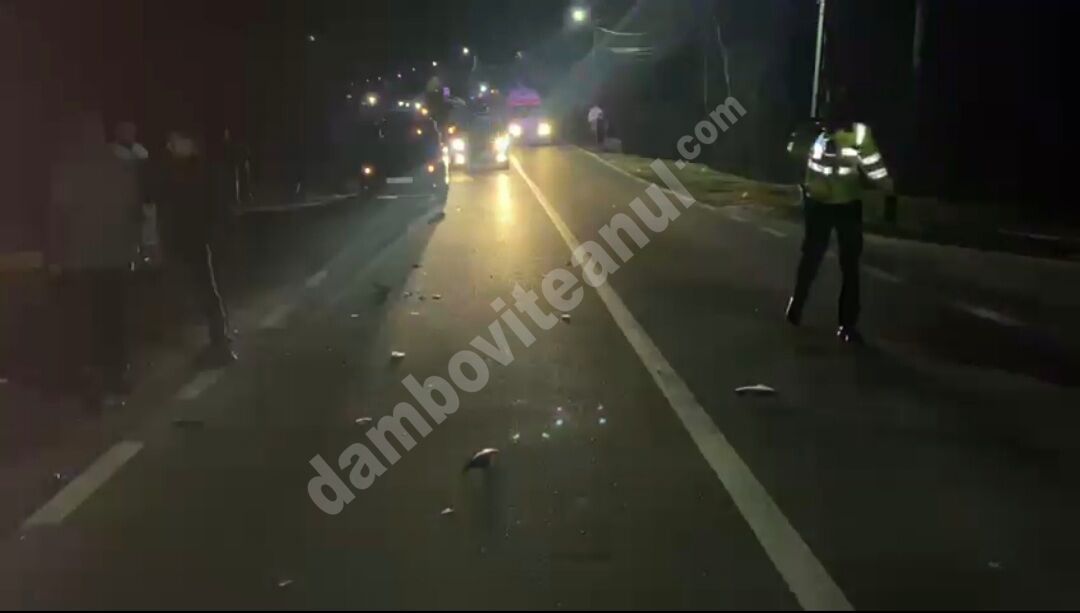You are currently viewing DÂMBOVIȚA: Tragedie în localitatea Corbii Mari! Un pieton a murit într-un teribil accident rutier!