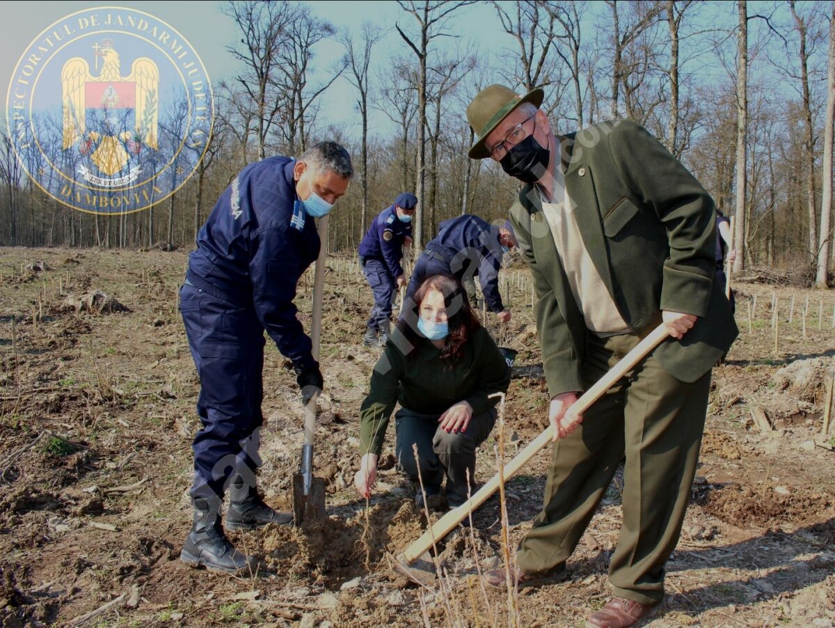 You are currently viewing Dâmbovița: De Ziua Jandarmeriei plantăm 171 de stejari pentru România