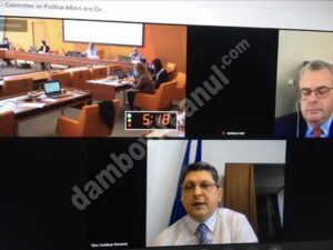 Read more about the article Senatorul Titus Corlățean a participat la reuniunea online a Comisiei pentru afaceri politice și democrație a Adunării Parlamentare a Consiliului Europei