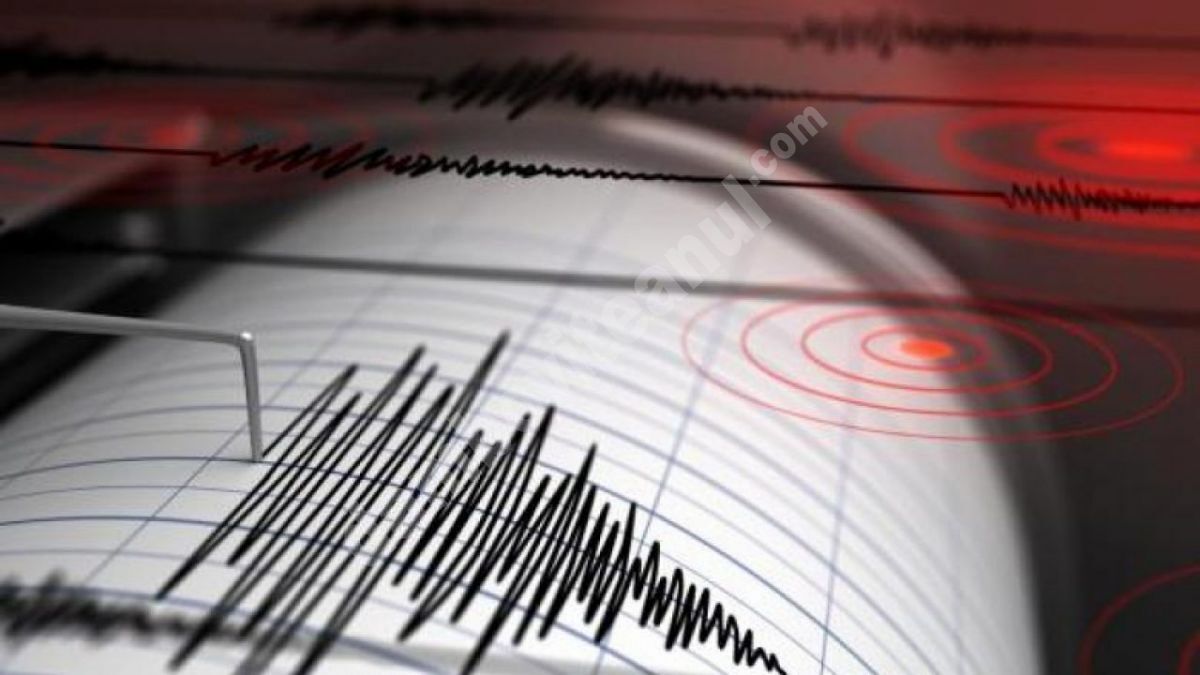 You are currently viewing Cutremur de 4,2 în Vrancea
