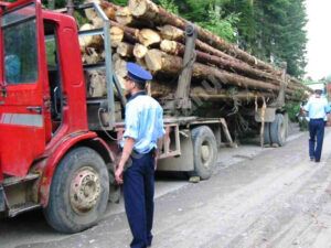 Read more about the article Noua variantă a aplicației „Inspectorii Pădurii” a fost descărcată de aproape 19 mii de români
