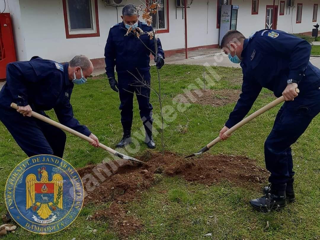 You are currently viewing Ziua Jandarmeriei, sărbătorită simbolic, în județul Dâmbovița