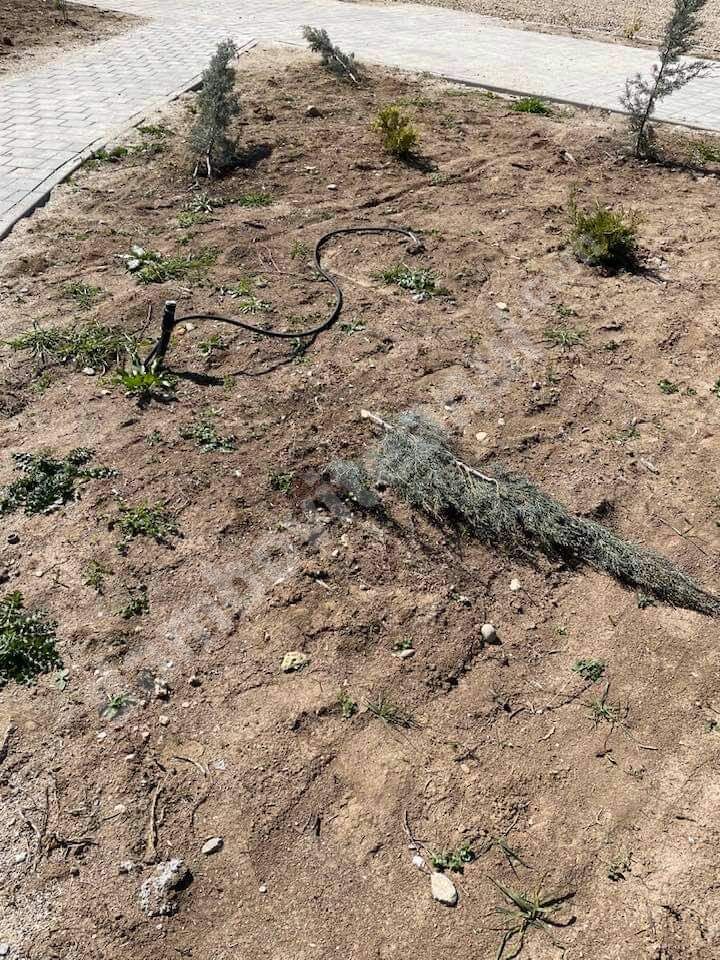 You are currently viewing Recompensă de 1 000 de lei, oferită de primarul orașului Răcari, pentru identificarea celui care a vandalizat Parcul de la Colacu