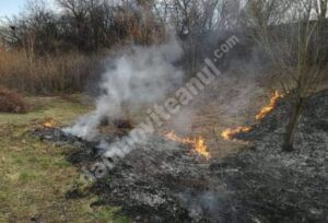 Read more about the article Atenție! Garda de Mediu Dâmbovița verifică în teren respectarea normelor legale privind arderea miriștilor și a resturilor vegetale!