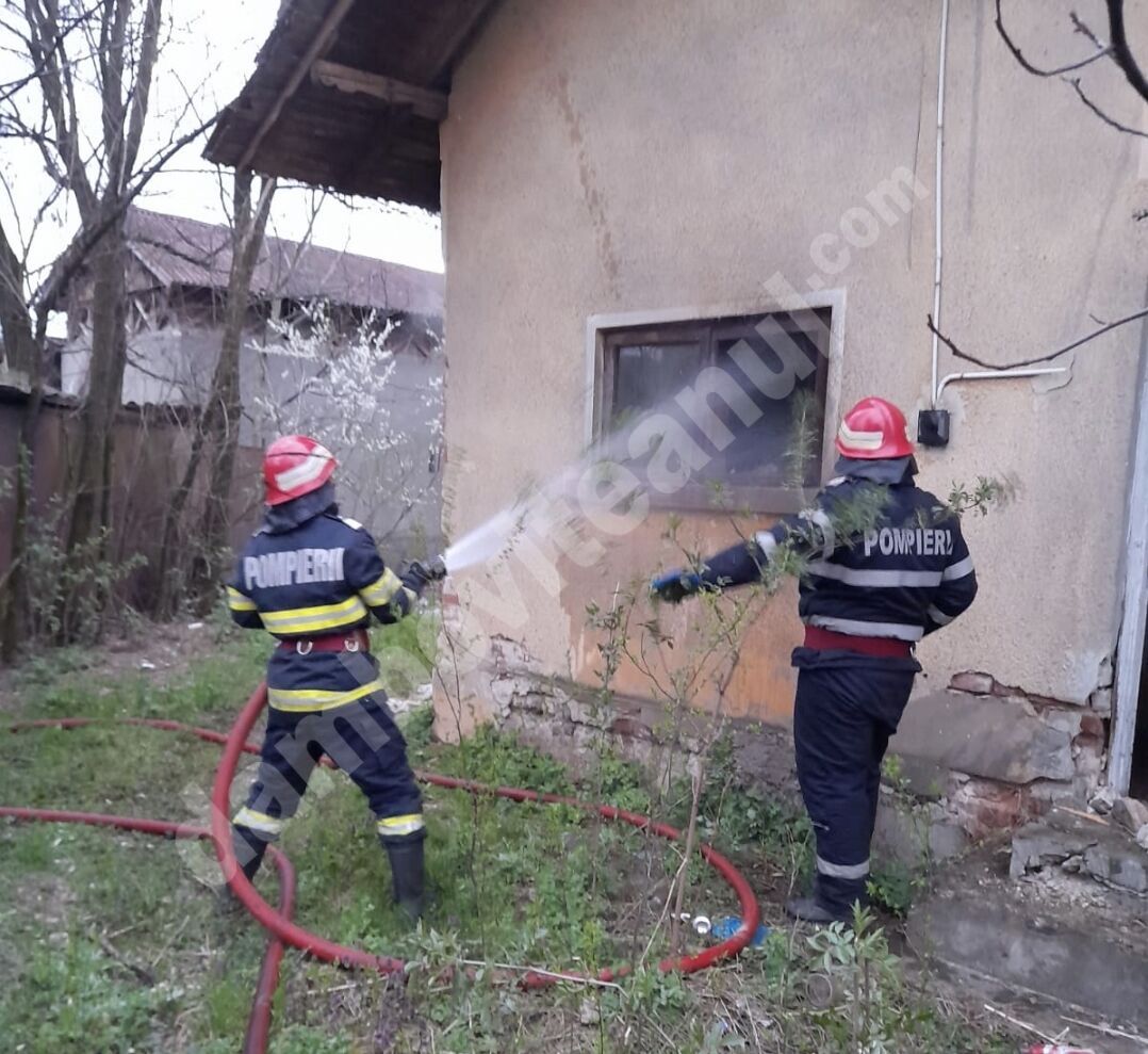 You are currently viewing DÂMBOVIȚA: Incendiu la un cabinet veterinar, din Brezoaiele!