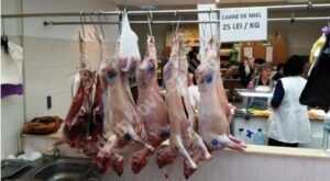 Read more about the article Recomandările și restricțiile sanitare ale DSVSA Dâmbovița, pentru asigurarea siguranței alimentare, în prag de sărbători