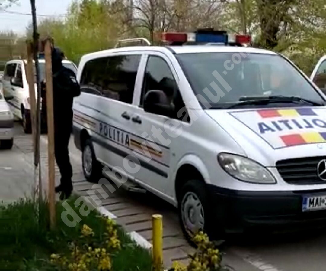You are currently viewing DÂMBOVIȚA: 20 DE PERCHEZIȚII, ÎNTR-UN DOSAR DE FALS MATERIAL ÎN ÎNSCRISURI OFICIALE, FALS INTELECTUAL ȘI UZ DE FALS