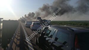 Read more about the article CIRCULAȚIE OPRITĂ PE A1, DIN CAUZA UNUI INCENDIU DE VEGETAȚIE PRODUS ÎN APROPIERE DE ULIEȘTI