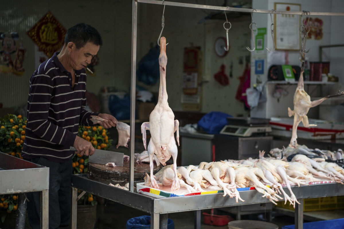 You are currently viewing OMS vrea interzicerea vânzării de animale vii în piețe: Sunt sursa a 70% dintre bolile și virusurile nou apărute
