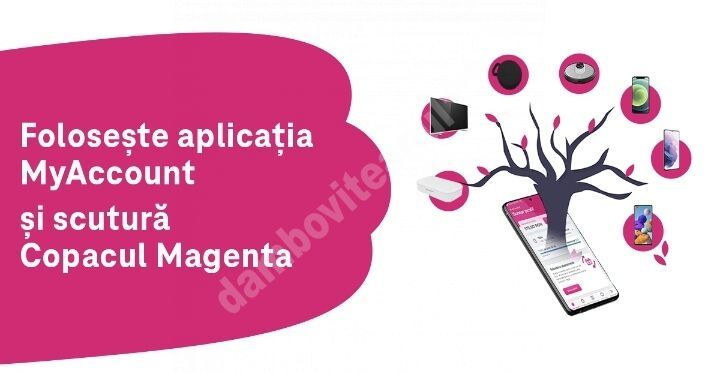 You are currently viewing Copacul Magenta din aplicația MyAccount te aşteaptă să îl scuturi de premii