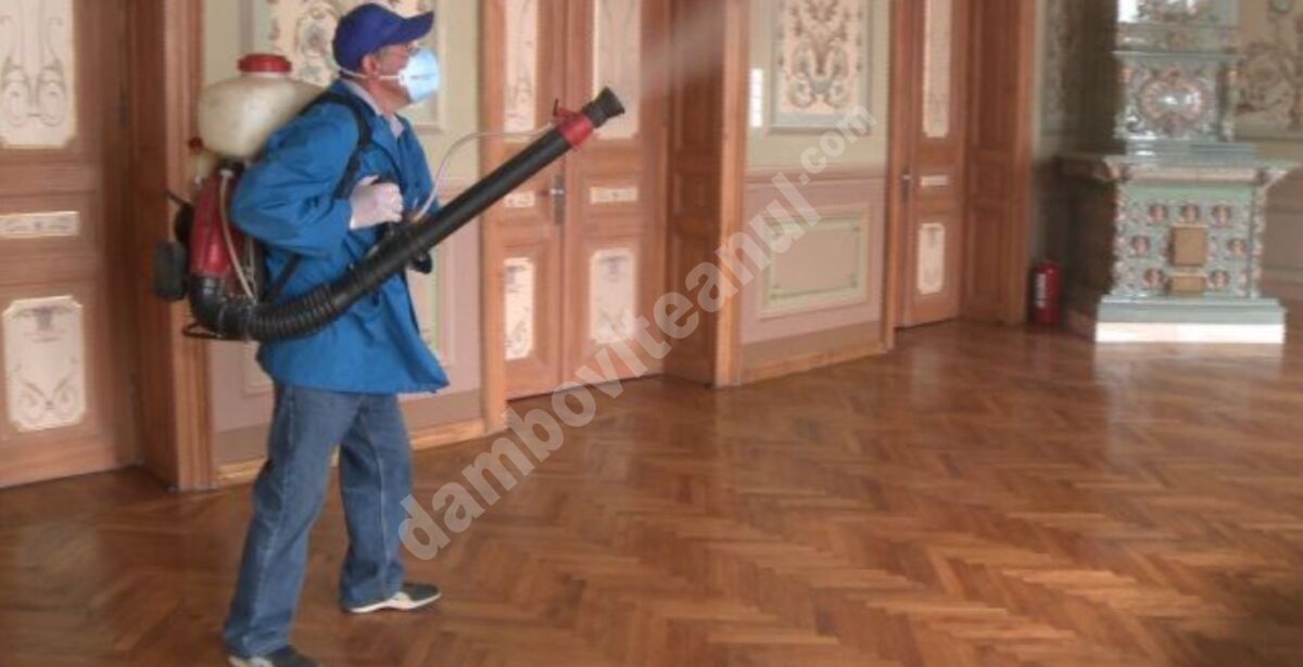 You are currently viewing Programul privind deratizarea si dezinsecția muzeelor aflate în administrarea Complexului Național Muzeal „Curtea Domnească” Târgoviște