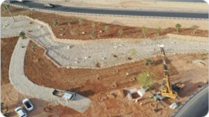 Read more about the article Arabia Saudită plantează 10 miliarde de copaci în deșert