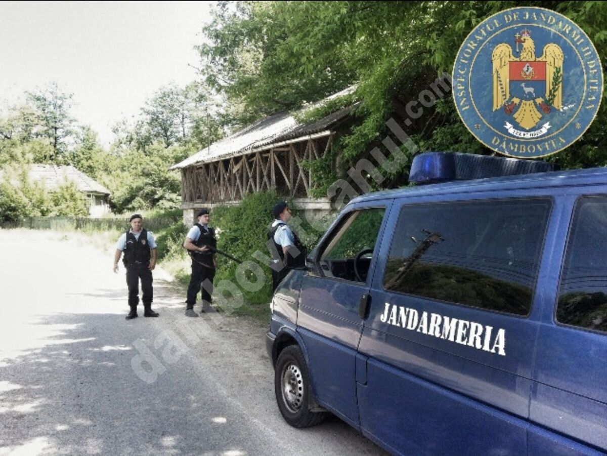 You are currently viewing Dâmbovița: Recomandări ale jandarmilor pentru localnicii din zonele frecventate de urși