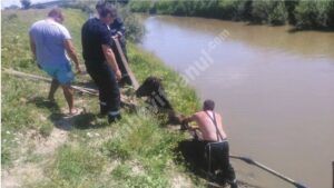 Read more about the article Un cal rămas blocat în pârâul Potocelu din Ludești, salvat de pompieri!