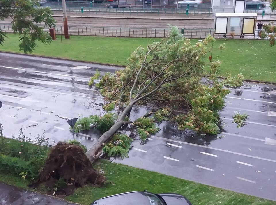 You are currently viewing Furtuna de azi-noapte a produs pagube însemnate în Arad