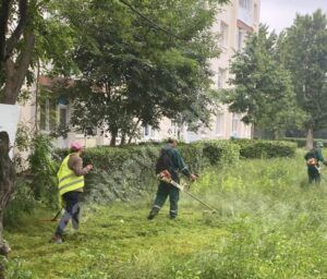 Read more about the article TÂRGOVIȘTE: Continuă acțiunile de întreținere a spațiilor verzi, în ciuda vremii capricioase