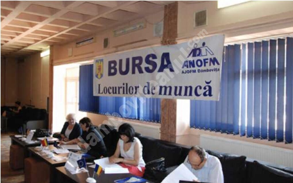 You are currently viewing Cauți un job? Vino la Bursa Locurilor de Muncă Dâmbovița!
