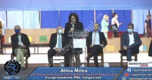 Read more about the article Val de critici al candidatei liberale la șefia PNL Târgoviște, Alina Milea, față de colegii ei de partid