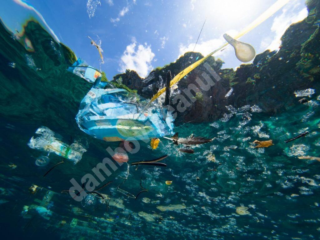 You are currently viewing Cercetătorii de la Universitatea Tehnică din Cluj lucrează la primul sistem robotic de curăţare a deşeurilor de pe fundul oceanelor