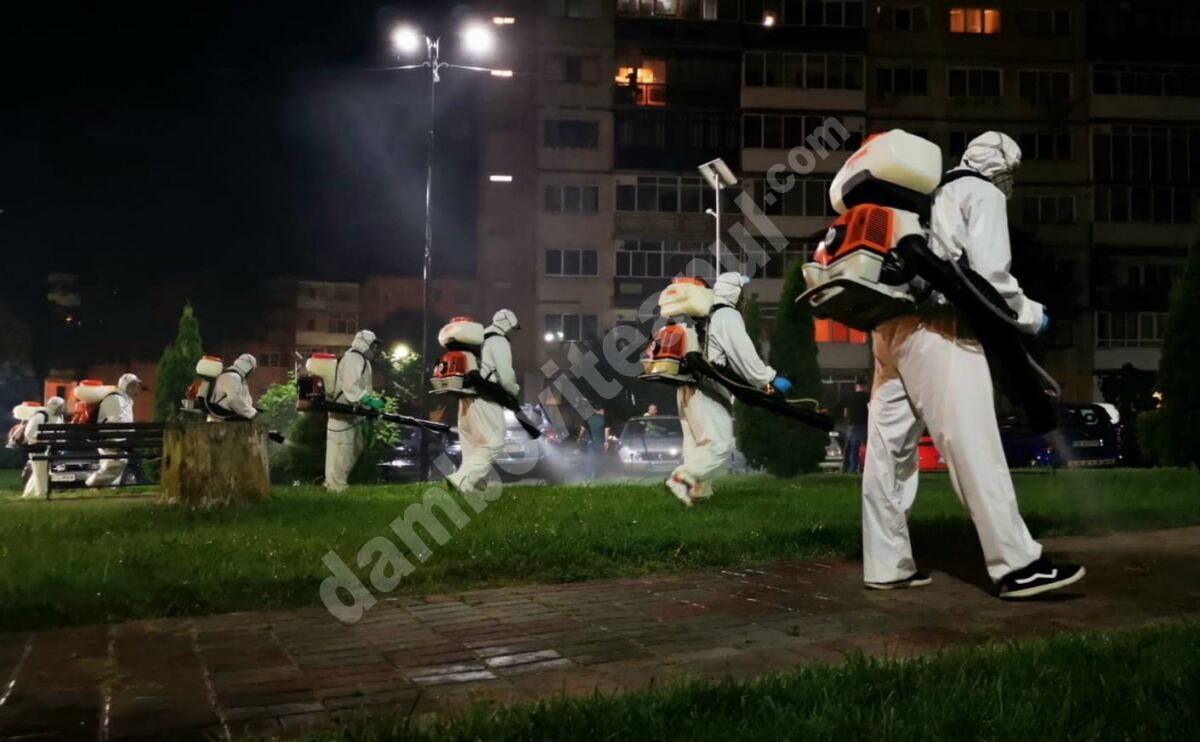 You are currently viewing Azi-noapte s-au desfășurat acțiuni de dezinsecție la sol, în municipiul Târgoviște
