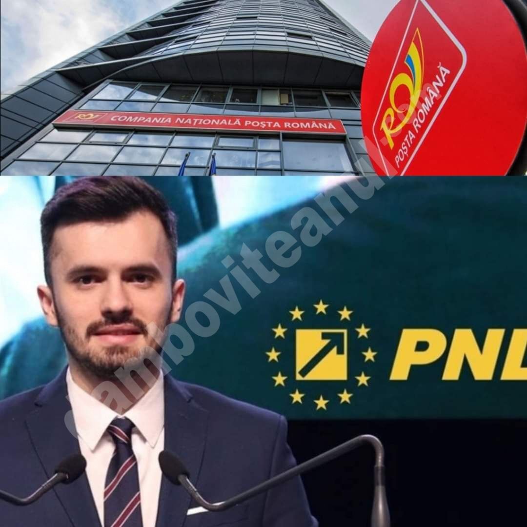 You are currently viewing Vicepreședintele ALDE, Ionel Petre, critică politizarea instituțiilor de către liberali