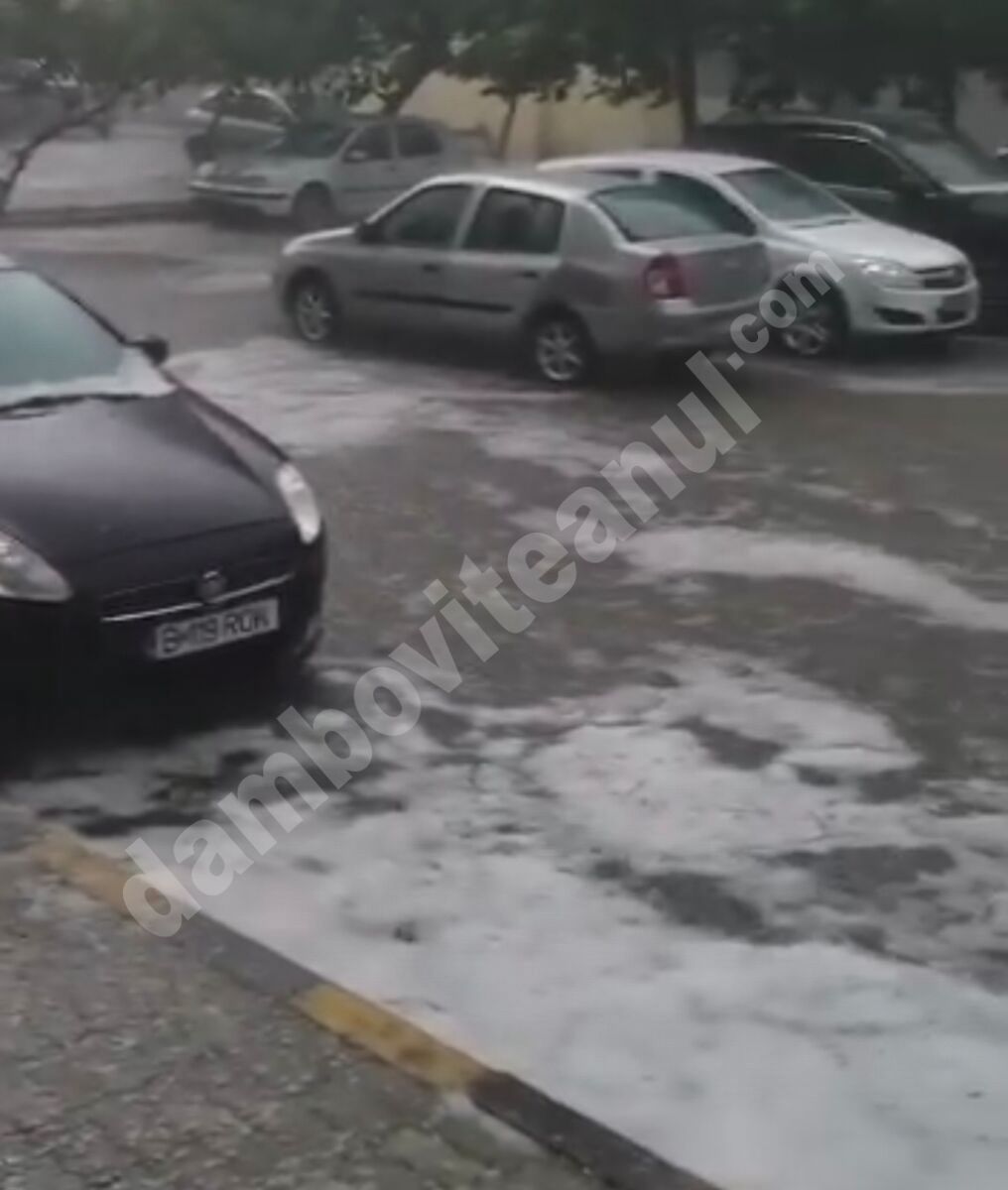 You are currently viewing TÂRGOVIȘTE: Căderi masive de precipitații! O gospodărie a fost inundată!